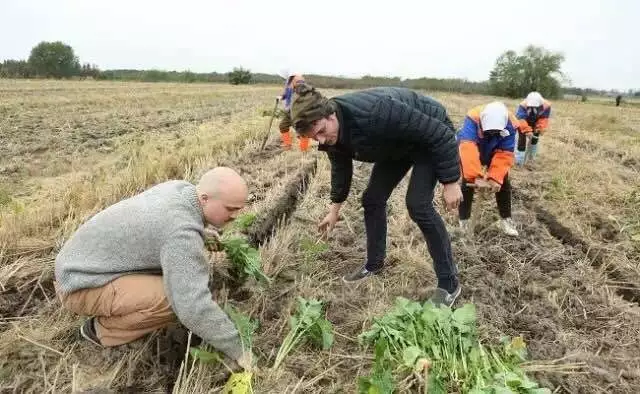 1479956589680003221.png 1479956589680003221.png